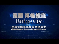 Kesinlikle yapılmış motor valfi kaplamaları Otomobil motor parçaları 03C109210BP Sagitar için