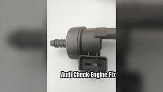 Audi Evap Solenoid Valve 106L133781AL Fixes Check Engine